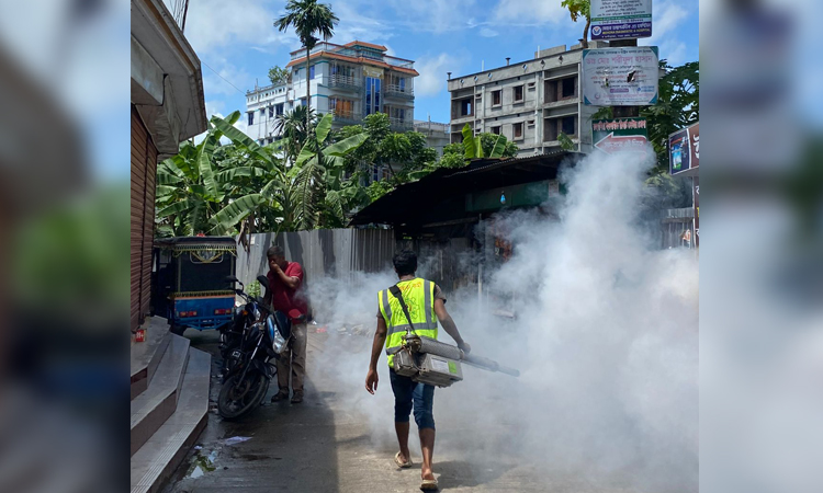 ভোলা পৌর শহরে মশক নিধন অব্যাহত থাকায় স্বস্তির নি:শ্বাস ফেলছে পৌরবাসী