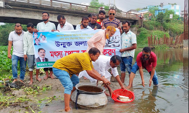 কালীগঞ্জে চিত্রা নদীতে মাছের পোনা অবমুক্ত