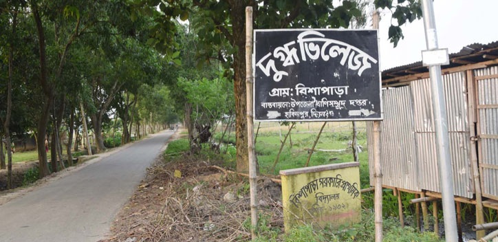 দিনাজপুরের বিশাপাড়া গ্রাম এখন ‘দুগ্ধ ভিলেজ’ 