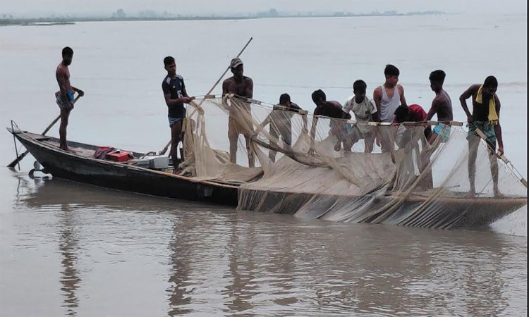 তিস্তায় মাছ ফুরিয়ে যাচ্ছে, শঙ্কায় জেলেরা