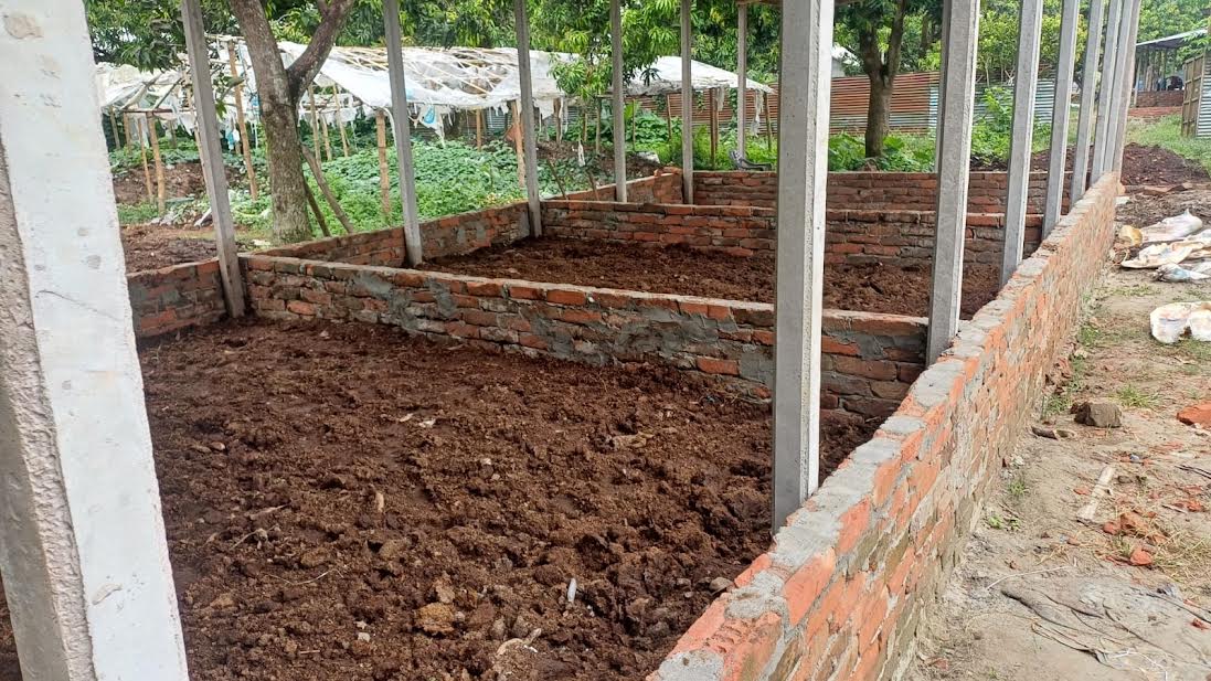 গোপালগঞ্জে কৃষি খামারে তরুণ উদ্যোক্তা হাসিবের সাফল্য