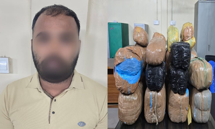 রাজধানীতে ৭৩ কেজি গাঁজাসহ এক মাদক কারবারি গ্রেফতার