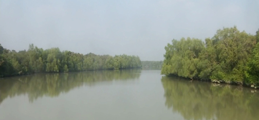 সুন্দরবনে মুক্তিপণের টাকা পরিশোধ করে লোকালয়ে ফিরেছে অপহৃত ৭ জেলে