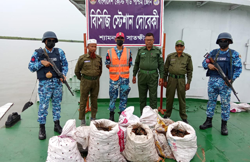 অভিযান চালিয়ে ৫শ কেজি কাঁকড়া জব্দ করেছে কোস্টগার্ড
