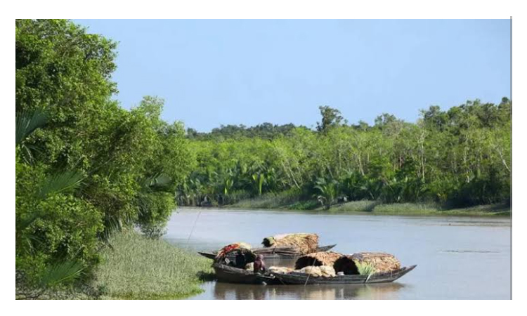তিন মাস পর ফের সুন্দরবনে প্রবেশের অনুমতি