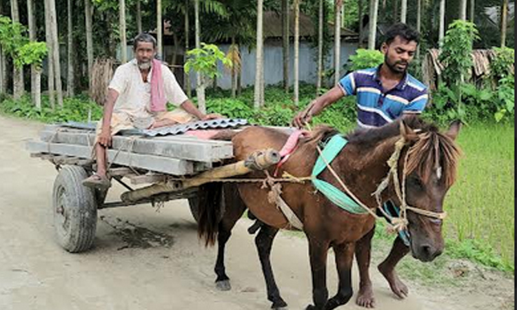 চরাঞ্চলে পণ্য পরিবহনে ভরসা ঘোড়ার গাড়ি