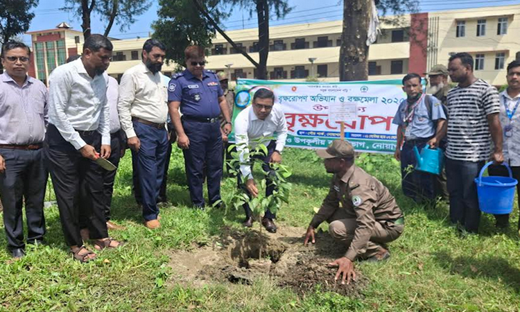 নোয়াখালীতে সপ্তাহব্যাপী বৃক্ষরোপণ অভিযান শুরু