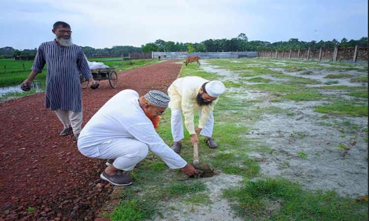 পটুয়াখালীতে বজ্রপাত থেকে সুরক্ষায় তালগাছের চারা রোপণ 