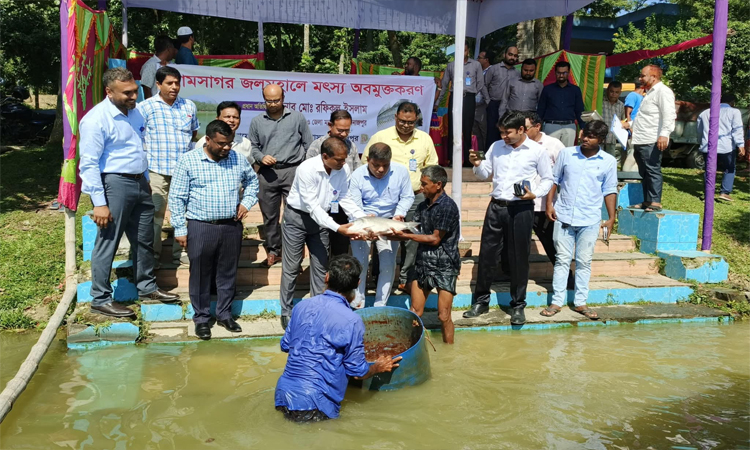 দিনাজপুরে রামসাগর জলমহালে মৎস্য অবমুক্তকরণ