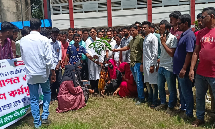 বিএনপির প্রতিষ্ঠাবার্ষিকী উপলক্ষে মাগুরায় বৃক্ষরোপণ