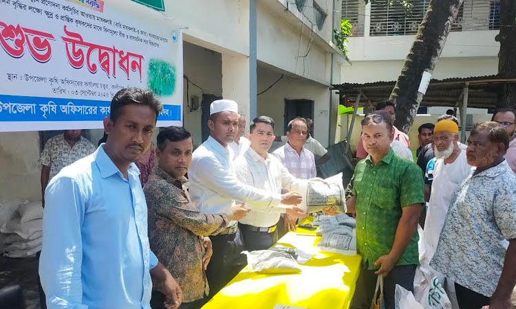কালীগঞ্জে ৩শ’ কৃষকের মাঝে মাসকলাই বীজ ও সার বিতরণ