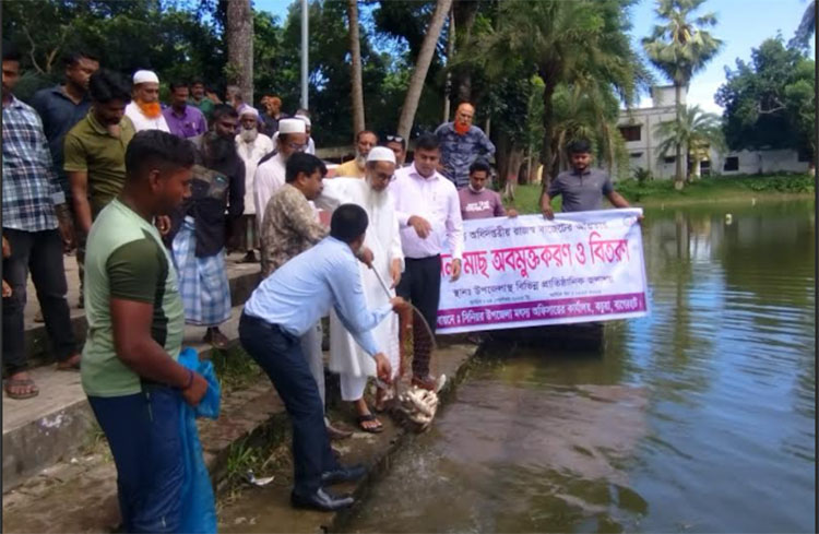 কচুয়া উপজেলার প্রাতিষ্ঠানিক জলাশয়ে মাছের পোনা অবমুক্ত