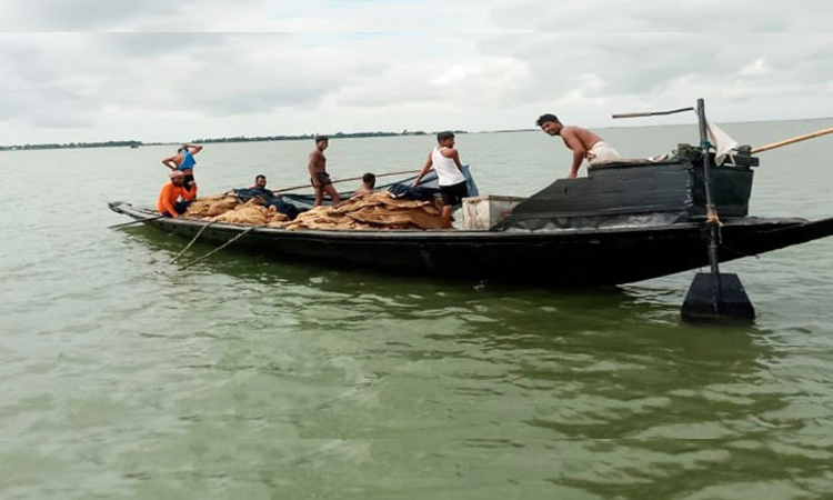সুনামগঞ্জের হাওরে বিপন্ন দেশি মাছের প্রজন্ম 
