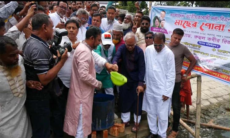 বগুড়ায় করতোয়া নদীতে পোনা মাছ অবমুক্ত করলেন রিজভী