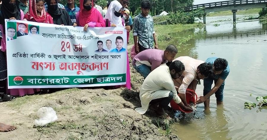 বিএনপির প্রতিষ্ঠাবার্ষিকী উপলক্ষে কচুয়ায় মাছের পোনা অবমুক্তকরণ