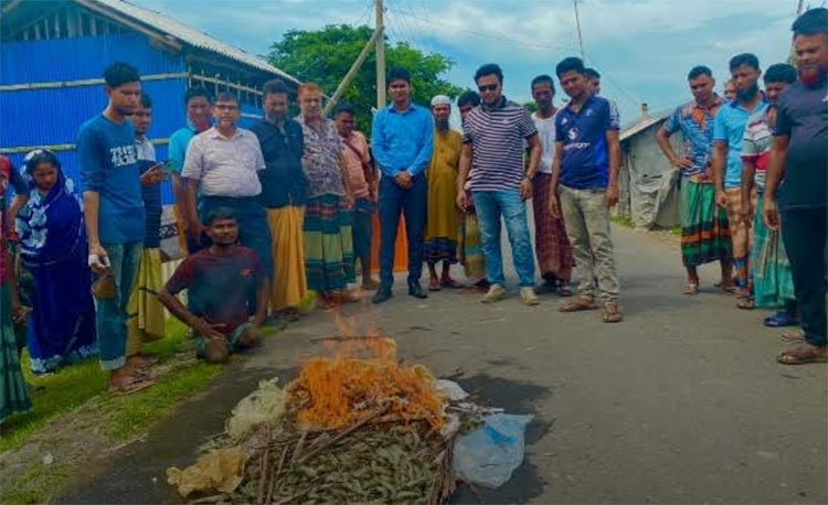 শ্যামনগরে অপদ্রব্য পুশ করার সময় চিংড়ি জব্দ