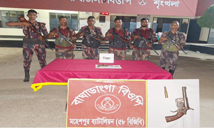 ঝিনাইদহের মহেশপুর সীমান্তে অস্ত্র ও গুলি উদ্ধার