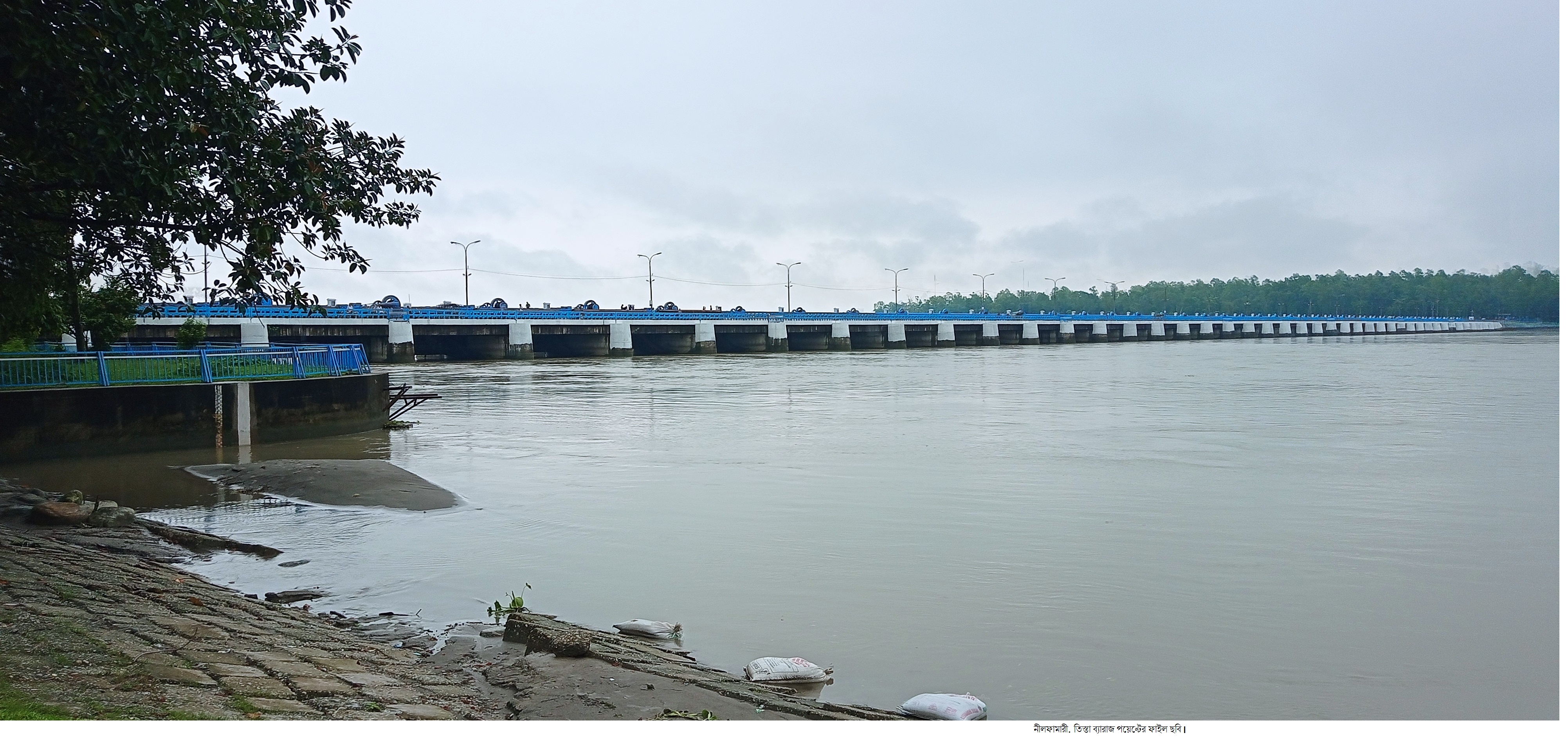 নীলফামারীতে তিস্তার পানি বৃদ্ধি 