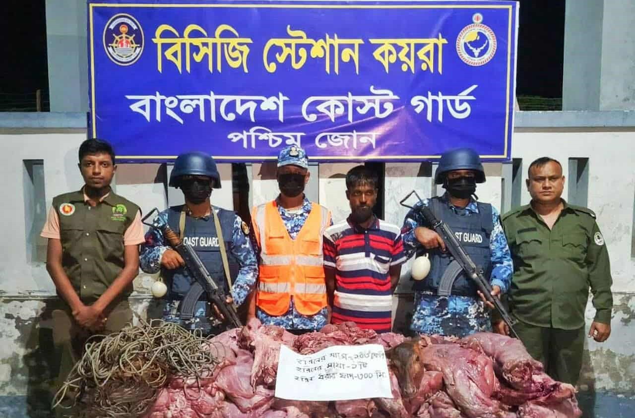 খুলনার কয়রায় ১০৩ কেজি হরিণের মাংস ও ফাঁদ উদ্ধার : শিকারি আটক