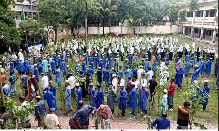কয়রা উপকূলে বৃক্ষরোপণ কর্মসূচি পালিত