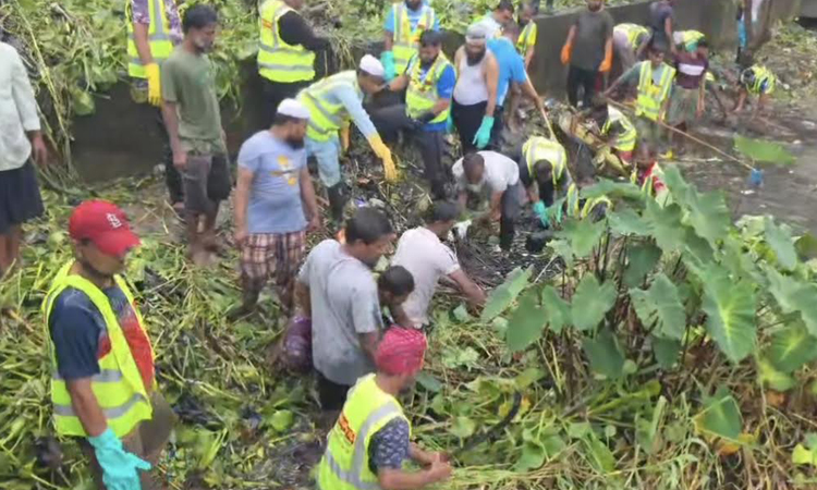 বিএনপির প্রতিষ্ঠাবার্ষিকী উপলক্ষ্যে উত্তরায় খাল পরিষ্কার কর্মসূচি অনুষ্ঠিত