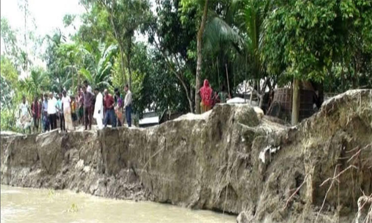 কুড়িগ্রামে ৩৩ পয়েন্টে নদী ভাঙন, বিলীন শতাধিক ঘর