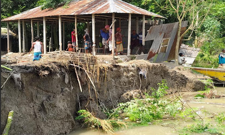 সিরাজগঞ্জে যমুনায় বিলীন ২৫ বসত ভিটা, হুমকিতে পাঁচ স্কুল 