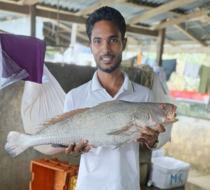 পটুয়াখালীতে এক পোয়া মাছ বিক্রি ৮০ হাজার টাকায়