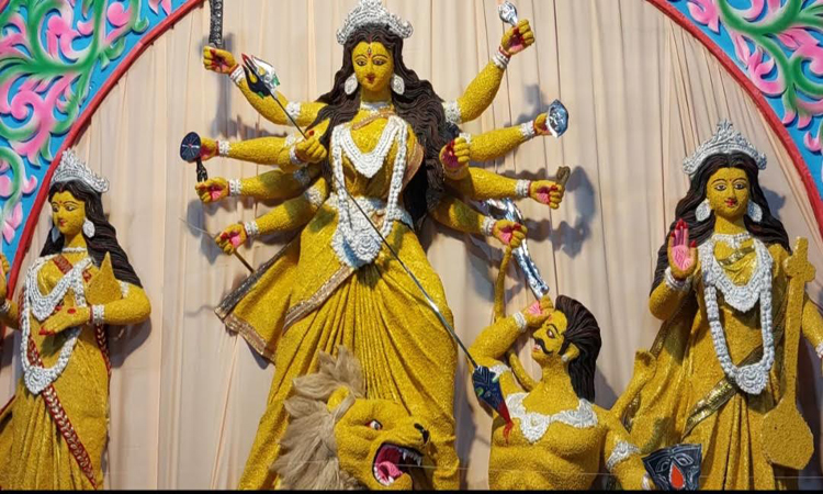 নাটোরে দর্শনার্থীদের মন জয় করেছে মুগ ডালের প্রতিমা