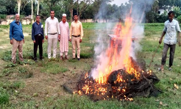 নওগাঁর রাণীনগরে নিষিদ্ধ রিং জাল বিনষ্ট
