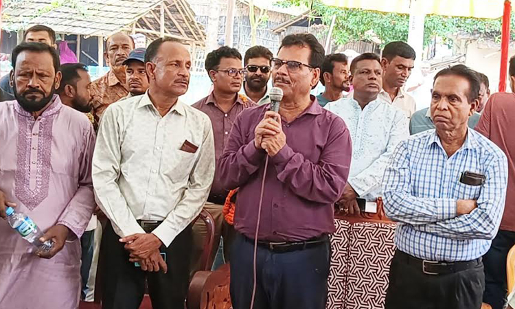 শান্তিপূর্ণভাবে দূর্গা পূজা উদযাপনের আহ্বান বিএনপি নেতা হাবিবের