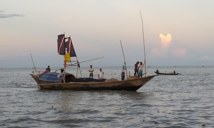 ভোলার নদী গুলোর  মৎস্য অভয়ারণ্যে ইলিশ ধরায় নিষেধাজ্ঞা