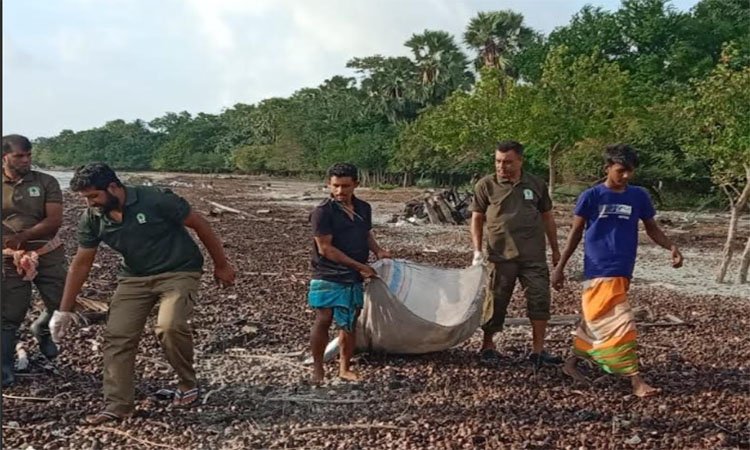 সুন্দরবন সমুদ্র সৈকত থেকে প্লাস্টিক বর্জ্য অপসারণ সম্পন্ন