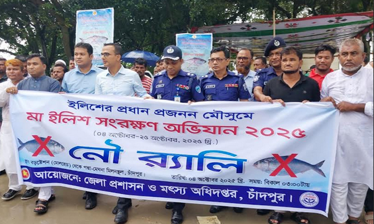 চাঁদপুরে ইলিশ সংরক্ষণ অভিযান বাস্তবায়নে নৌ র‌্যালি