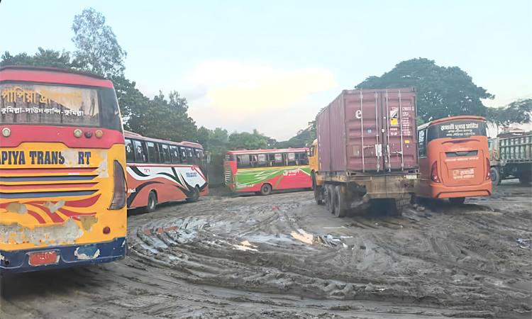 ঢাকা-চট্টগ্রাম মহাসড়কে অবৈধভাবে পার্কিংয়ের দায়ে ৫ বাস জব্দ