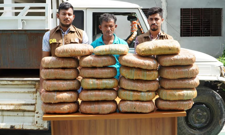 নরসিংদীতে মাদকসহ একজন আটক