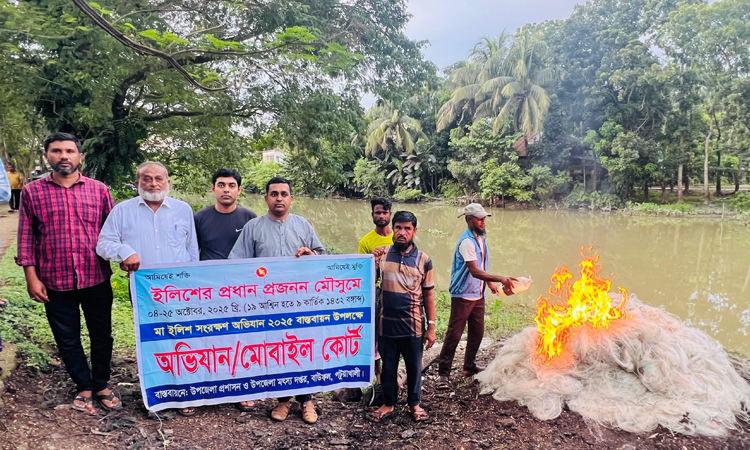 বাউফলে ইলিশ রক্ষা অভিযানে জাল জব্দ ও জরিমানা আদায়