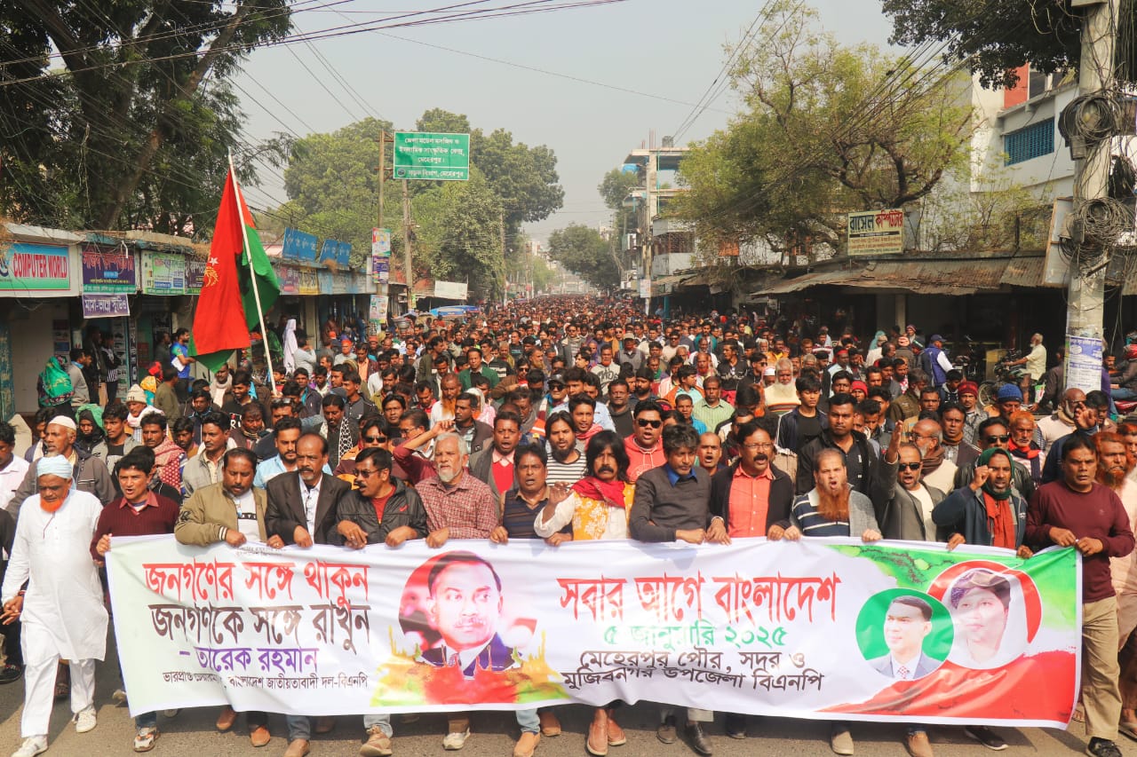মেহেরপুরে ছাত্রদলের মিছিল-সমাবেশ 