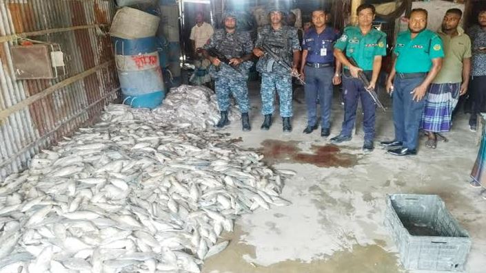 চট্টগ্রামে ২ হাজার ৫০০ কেজি মা ইলিশ জব্দ, লাখ টাকা জরিমানা