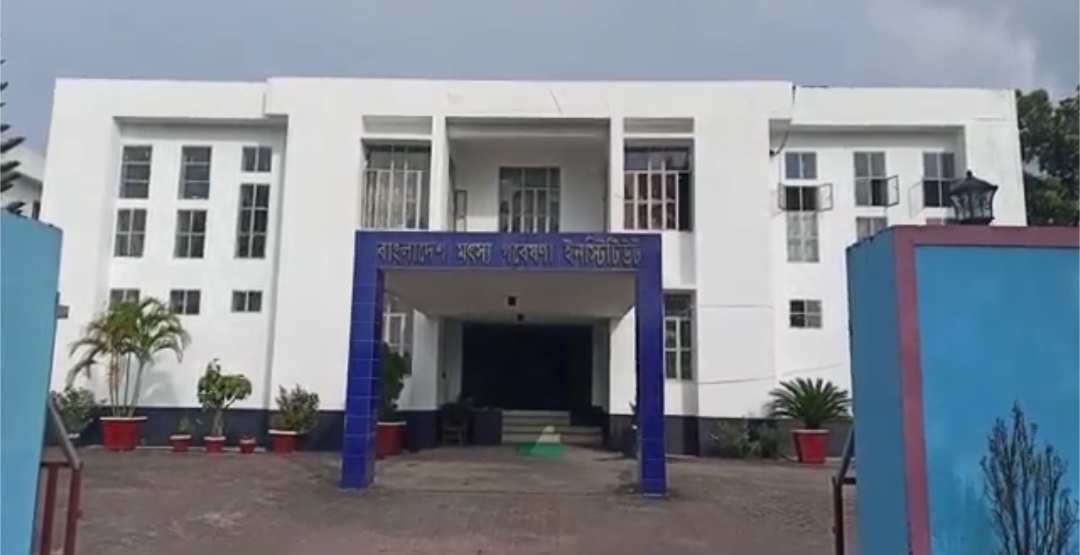 বিএফআরআইয়ের উদ্ভাবনে ফিরছে বিলুপ্তপ্রায় প্রজাতির মাছ
