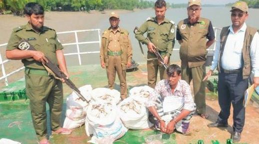 সুন্দরবনের শাকবাড়িয়া থেকে ৪৮ কেজি হরিণের মাংস উদ্ধার, গ্রেফতার এক
