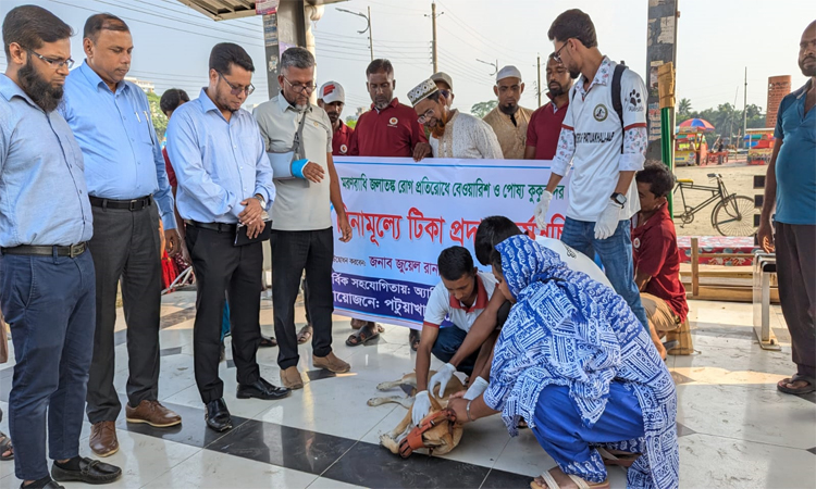 পটুয়াখালীতে জলাতঙ্ক প্রতিরোধে বেওয়ারিস কুকুরকে টিকা দেওয়া শুরু