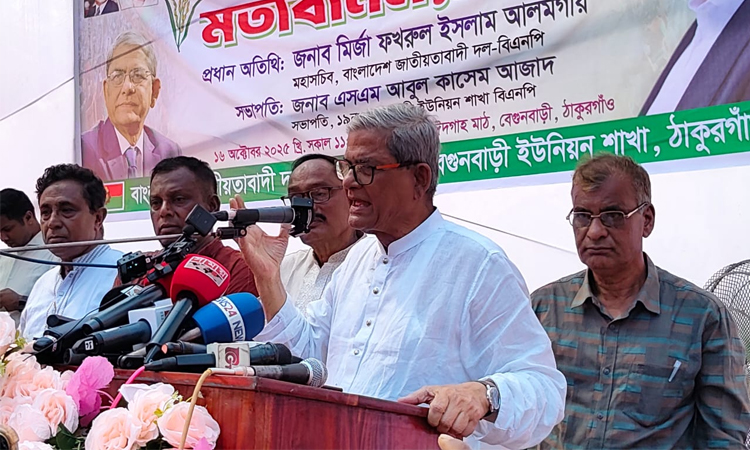দেশ বাঁচাতে আগে নির্বাচন চায় জনগণ : মির্জা ফখরুল