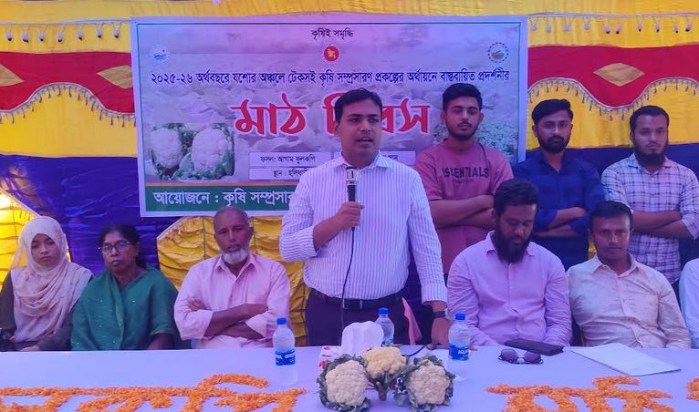 ঝিনাইদহে সবজি ও আগাম ফুলকপি চাষ উদ্বুদ্ধকরণে মাঠ দিবস