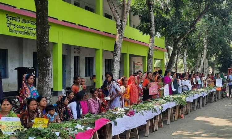 সাতক্ষীরায় শাকের মেলা অনুষ্ঠিত