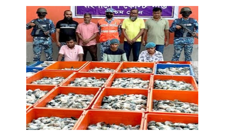 খুলনায় জেলি পুশকৃত ৩৮ মণ চিংড়ি ধ্বংস