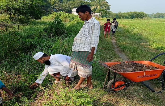 বজ্রপাতের ঝুঁকি এড়াতে কুমিল্লায় তিন হাজার তালের বীজ বপন
