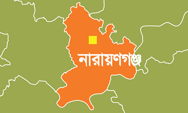 নারায়ণগঞ্জে এক লাখ গাছের চারা রোপণ করা হয়েছে : জেলা প্রশাসক