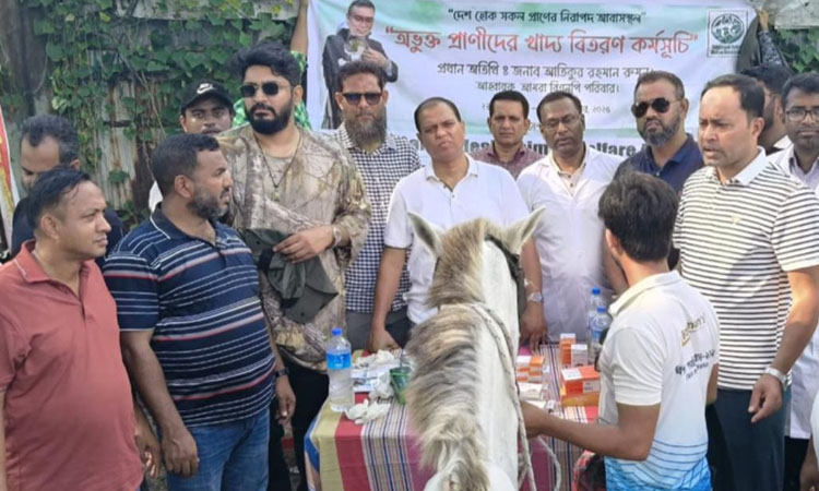 অভুক্ত ও অসুস্থ ঘোড়ার পাশে বাংলাদেশ অ্যানিমেল ওয়েলফেয়ার অ্যাসোসিয়েশন