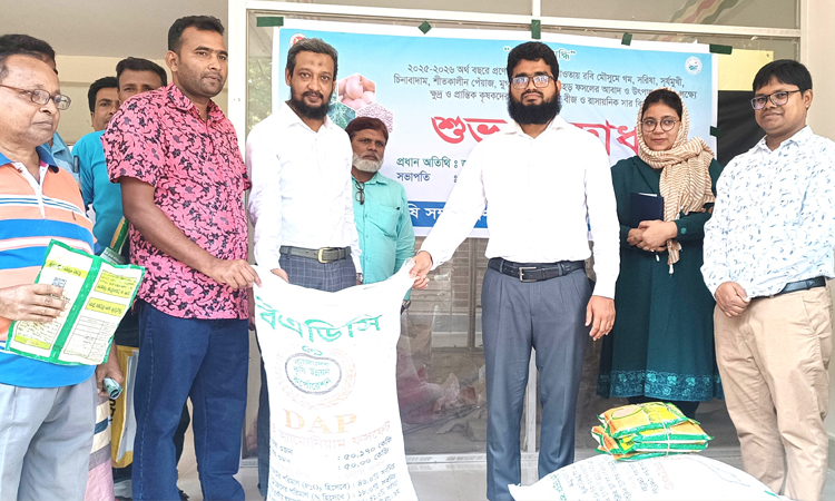 নওগাঁয় রবিশস্য চাষাবাদে  প্রণোদনা পাচ্ছেন ৭০ হাজার প্রান্তিক কৃষক